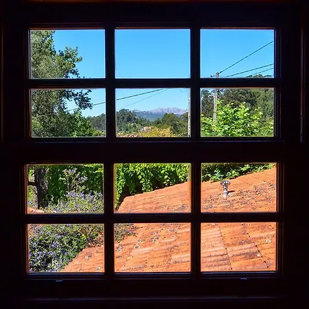 Quinta Brasao Da 카니카다