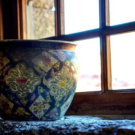 カントリーハウス Quinta Brasao Da *