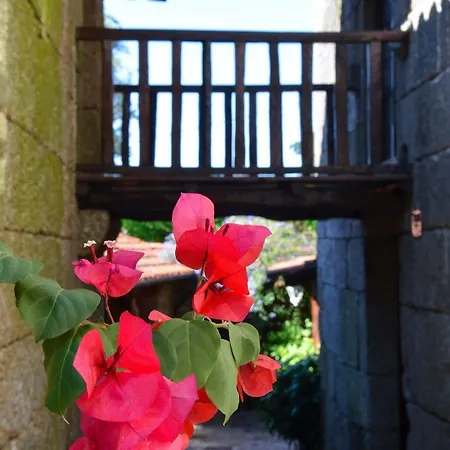 Quinta Brasao Da * Caniçada