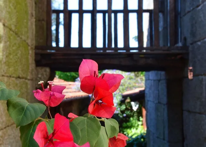 Quinta Brasao Da * Caniçada